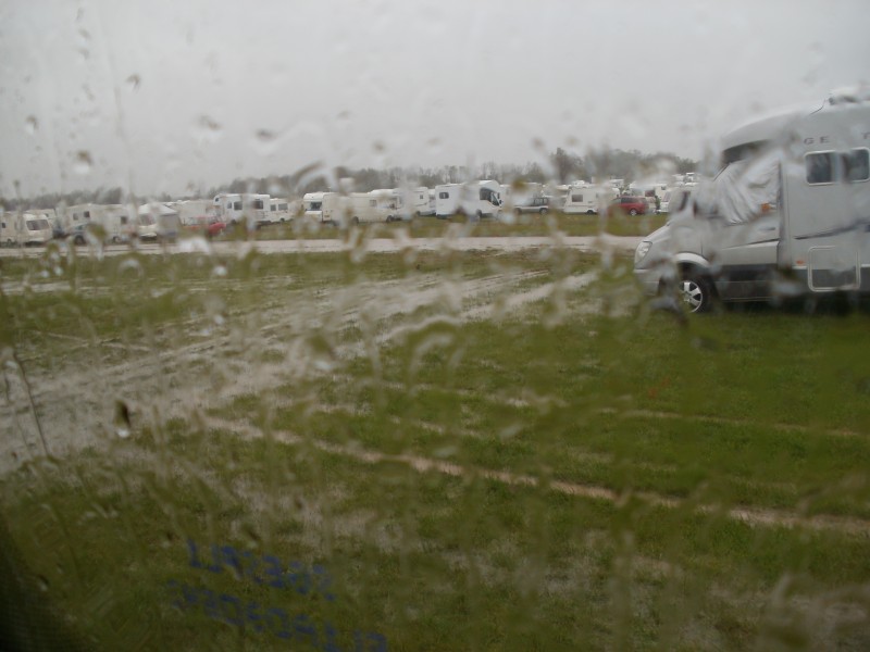 Honking it down